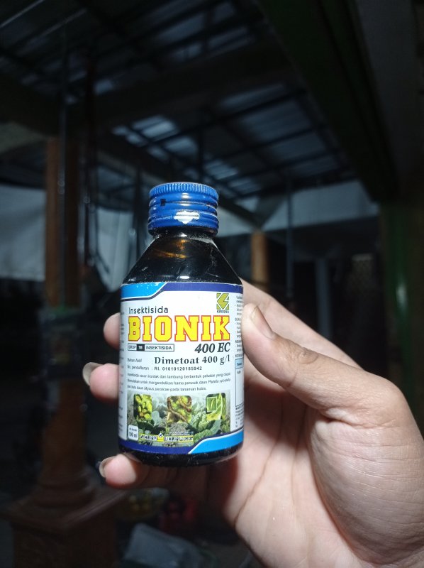Bionik
