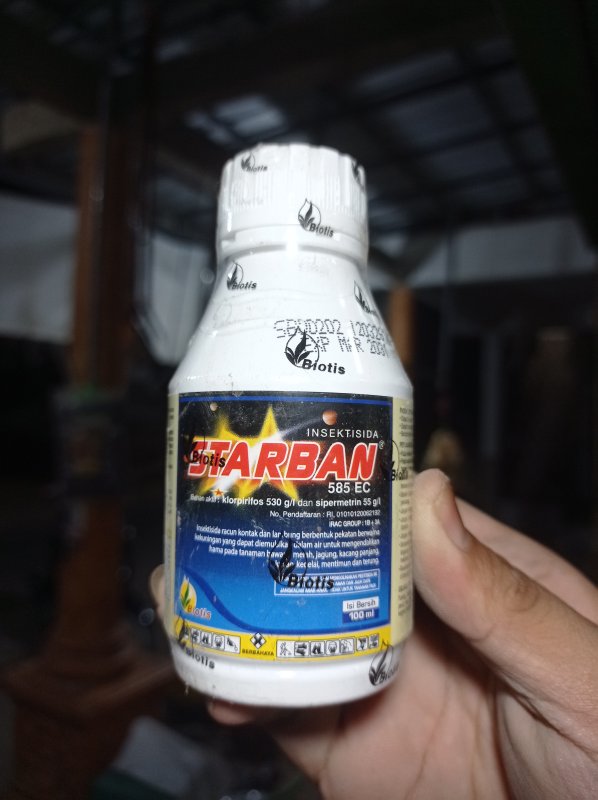Starban 585 ec
